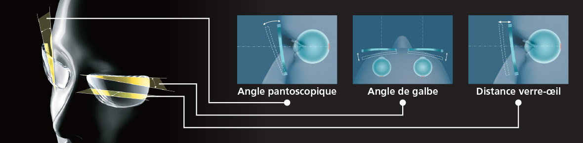 Parce que les gens mènent différents types de styles de vie, ils ont également besoin de différents types de verres.